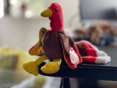 Gobbles the Turkey