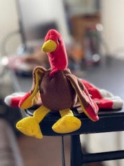 Gobbles the Turkey