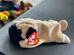 Pugsly the Pug