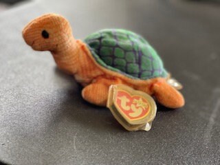 Peekaboo the Turtle