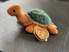 Peekaboo the Turtle