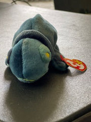 Rainbow the Chameleon