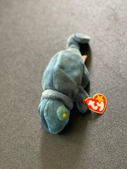 Rainbow the Chameleon