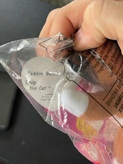 Chip the Cat