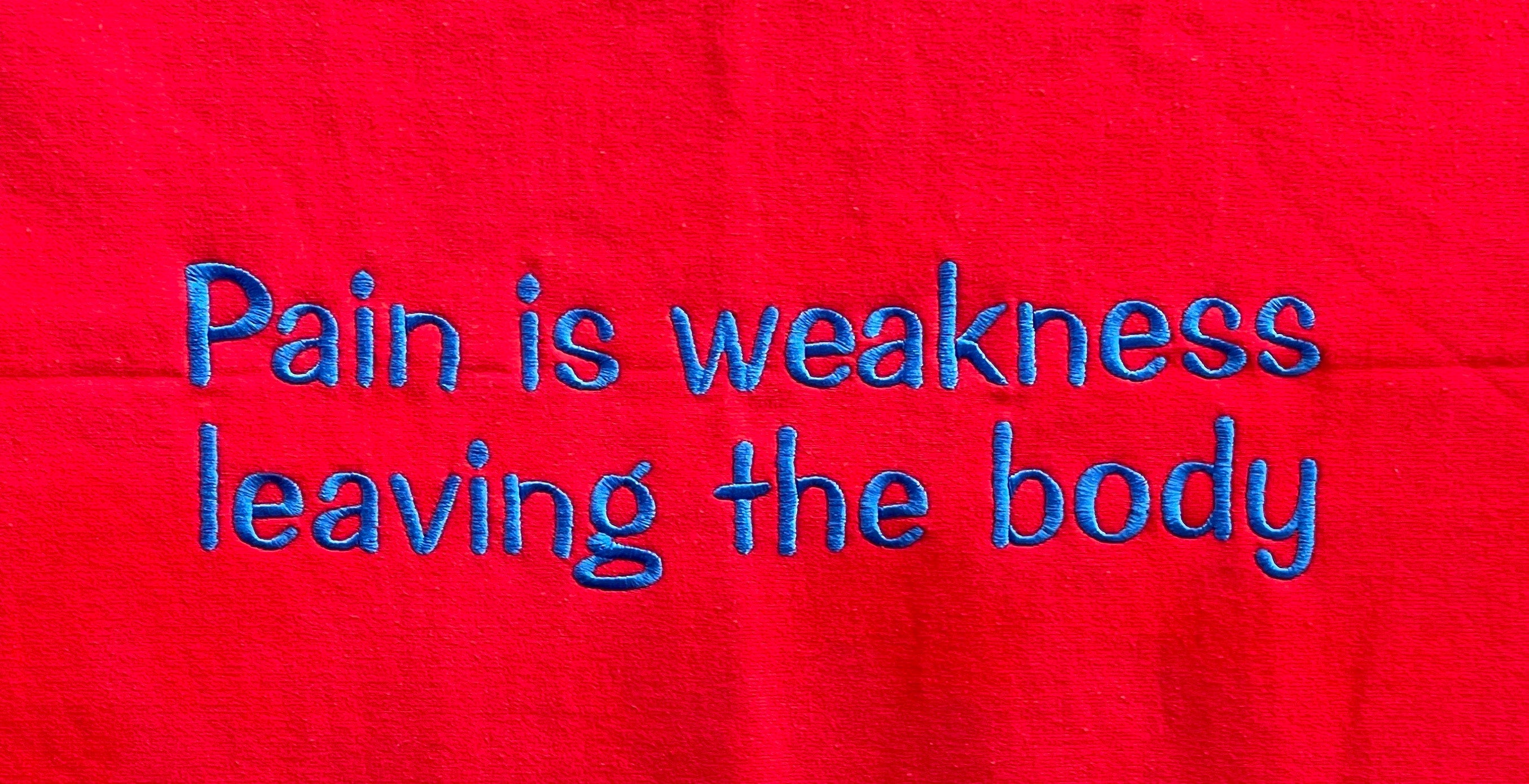 Red embroidered stadium blanket