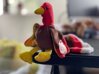 Gobbles the Turkey