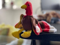 Gobbles the Turkey
