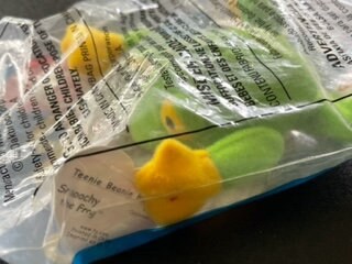 Smoochy the Frog